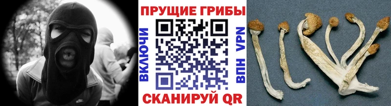Галлюциногенные грибы Magic Shrooms закладки Усолье-Сибирское